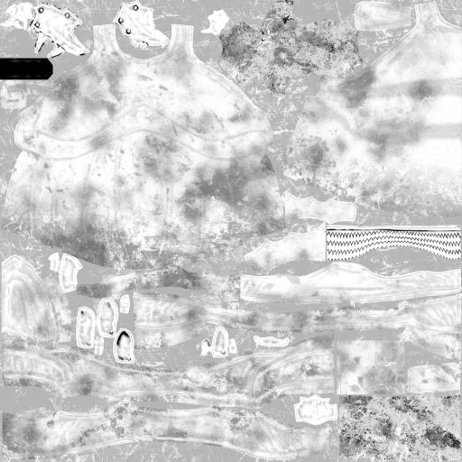 BD_M_1830_m_l (2).png
